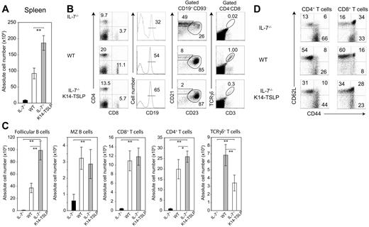 Figure 2. TSLP Tg expression restores splenic lymphocyte compartments in IL-7−/− mice. (A) Absolute splenocyte numbers of IL-7−/−, WT, and IL-7−/− K14-TSLP Tg (12-week-old). (B) Percentages and (C) absolute cell number of CD4+, CD8+, and γδ+CD3+ T cells, and CD19+CD93− mature B cells composed of follicular (CD23+ CD21+) and MZ (CD21high CD23−) B cells are shown. Histograms represent the mean and standard deviation from analyzing 5 animals. *P < .05; **P < .005 (Student t test). (D) Gated on splenic CD4+ and CD8+ T cells, CD62L and CD44 expression is shown.