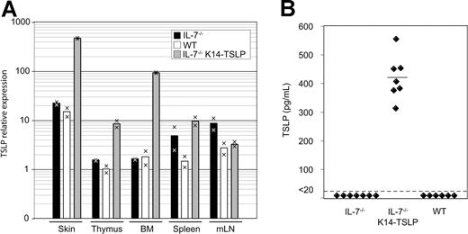 Figure 3. TSLP is detectable in the serum of IL-7−/− K14-TSLP Tg mice. (A) TSLP expression in skin, thymus, BM, et al. Each bar displays the mean of values obtained from cDNA from 2 mice. Results are representative of 3 independent experiments. (B) TSLP concentration in sera from IL-7−/−, IL-7−/− K14-TSLP Tg, and WT mice was quantified by ELISA. Each symbol represents the result from an individual mouse. The mean of TSLP concentration is indicated.