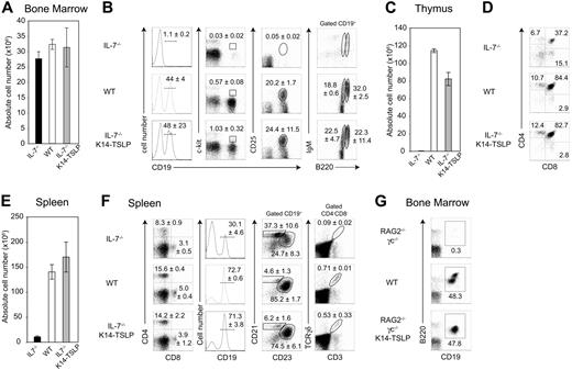 Figure 4. TSLP sustains the differentiation of WT BM progenitors toward the B- and T-cell lineages in vivo. (A) Absolute cell number per 2 femurs 6 weeks after reconstitution of lethally irradiated IL-7−/−, WT, and IL-7−/− K14-TSLP Tg recipients with 107 BM cells (CD45.1+) is shown. (B) FACS profiles were gated on CD45.1+ donor cells. Regions indicate the pro-B/pre-B-I (CD19+c-kit+), pre-B-II (CD19+CD25+), mature (CD19+B220highIgM+), and immature (CD19+B220+IgM+) B cells. Numbers are mean and standard deviation of percentage (n = 3). (C) Absolute CD45.1+ thymocyte number and (D) percentages of donor-derived SP (CD4+CD8−, CD4−CD8+), DP (CD4+CD8+) thymocytes are shown. (E) Absolute CD45.1+ splenocyte number. Histograms represent the mean and standard deviation from analyzing 3 animals. (F) Regions indicate splenic CD4+, CD8+, and γδ+ T cells, and CD19+ B cells containing follicular (CD23+CD21+) and MZ (CD21high CD23−) B cells. Numbers are mean and standard deviation of percentage (n = 3). (G) RAG2−/− γc−/−, WT, and RAG2−/− γc−/− K14-TSLP Tg mice were analyzed at 10 weeks of age. Regions indicate the committed (CD19+B220+) B cells in the BM. Representative FACS analyses of 1 of 3 mice.