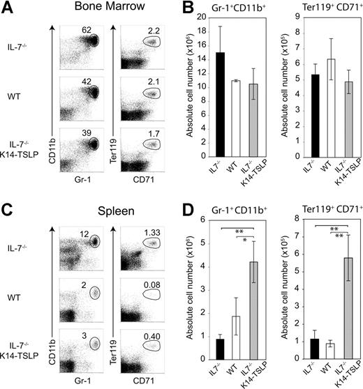 Figure 5. TSLP Tg expression leads to the accumulation of granulocytes and erythroid precursors in the spleen. Six months after reconstitution of lethally irradiated IL-7−/−, IL-7−/− K14-TSLP, or WT recipient mice with 1 × 107 BM cells from CD45.1+ mice, recipients were analyzed. All FACS profiles were gated on CD45.1+ donor cells. (A) Granulocytes (Gr-1+ CD11b+) and erythroblasts (Ter119+ CD71+) in the BM are shown. (B) Absolute number of granulocytes and erythroblasts in BM. (C) Granulocytes (Gr-1+ CD11b+) and erythroblasts (Ter119+ CD71+) in the spleen are shown. (D) Absolute number of granulocytes and erythroblasts in spleen. *P < .05; **P < .005 (Student t test). Histograms represent the mean and standard deviation from analyzing 3 animals.