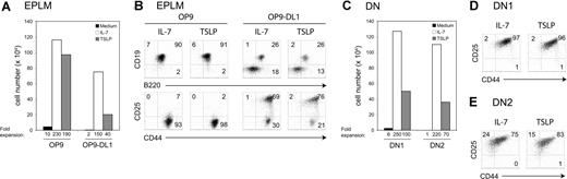 Figure 6. TSLP promotes the expansion and the differentiation of EPLMs, and DN1 and DN2 cells in vitro. (A) Absolute cell numbers harvested after a 7-day culture period of EPLMs (B220+ CD19− NK1.1− CD117+ CD93+) on either OP9 or OP9-DL1 cells in the presence of TSLP or IL-7, or without additional cytokine. (B) The percentage of CD19+ B220+ B cells, DN1 (CD25− CD44+), DN2 (CD25+ CD44+), and DN3 (CD25+ CD44−) T-cell precursors is shown. Data shown here are from 1 representative experiment of 2. (C) Sorted DN1 (CD25− CD44+ CD117high) or DN2 (CD25+ CD44+ CD117high) cells were plated on OP9-DL1 in the presence of TSLP or IL-7, or without additional cytokine. Absolute cell numbers were calculated after 7 days of culture. Flow cytometric analysis of (D) DN1 or (E) DN2 cells cultured for 7 days on OP9-DL1 in the presence of TSLP or IL-7. Data shown here are from 1 representative experiment of 2.