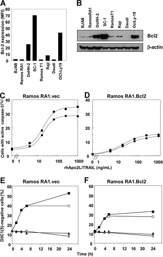 Figure 3. Modulation of proapoptotic and antiapoptotic Bcl-2 family proteins by rituximab in Ramos RA1 cells. (A) Flow cytometric analysis of Bcl-2 levels in NHL cell lines. Data are reported as MFI. The background fluorescence for the isotype control antibody on all cell lines was an MFI less than 6. (B) Immunoblot analysis of Bcl-2 expression in NHL cell lines. (C,D) Effect of Bcl-2 overexpression in Ramos RA1 cells on caspase-3 activation. Flow cytometric analyses of active caspase-3–positive Ramos RA1 cells treated with rhApo2L/TRAIL alone (•) or rhApo2L/TRAIL and rituximab (20 μg/mL, ■) for 24 hours. (E,F) Effect of Bcl-2 overexpression in Ramos RA1 cells on loss of mitochondrial-membrane integrity. Flow cytometric analyses of DiIC1(5)-negative Ramos RA1 cells treated with vehicle (◇), rhApo2L/TRAIL (1 μg/mL, ○), rituximab (20 μg/mL, ▴), or rhApo2L/TRAIL and rituximab (■). Cells were analyzed for DiIC1(5) at the indicated number of hours after addition of rhApo2L/TRAIL.