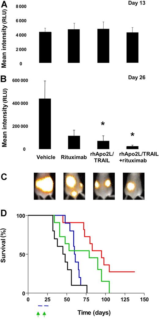 Figure 6. Activity of rhApo2L/TRAIL and rituximab against disseminated NHL tumor xenografts. BJAB-Luc cells were injected intravenously into CB17 ICR SCID mice. Tumor burden was determined by bioluminescent imaging and shown as the mean relative light units (RLU) for 4 randomized groups (n = 10 mice/group) with equivalent tumor burden at day 13 (A). Mice were treated with vehicle, 60 mg/kg rhApo2L/TRAIL, 4 mg/kg rituximab, or rhApo2L/TRAIL and rituximab. rhApo2L/TRAIL was administered daily for 5 consecutive days followed by a 2-day break and a second round of 5 days of treatment as indicated by the blue bar (panel D). Rituximab was administered once a week for 2 weeks as indicated by the green arrow (panel D). On day 26 (B), the tumor burden for the rituximab group was marginally reduced (P = .062 compared with vehicle, Mann-Whitney test), the tumor burden for the rhApo2L/TRAIL group was significantly lower (P = .009 compared with vehicle), and the tumor burden of the rhApo2L/TRAIL and rituximab group was significantly lower than the vehicle control (P = .004). The tumor burden for the rhApo2L/TRAIL and rituximab group was not significantly lower than the rhApo2L/TRAIL group (P = .275); however, the tumor burden for the rhApo2L/TRAIL and rituximab group was significantly lower than the rituximab group (P = .057). * represents statistical significance of result compared to vehicle. Error bars in panels A and B represent SEM. (C) Representative false color images of the mean tumor luminescence for each group are shown as an overlay of the reference image of the whole mouse. (D) Survival analysis of the BJAB-bearing mice; Kaplan-Meyer curves for the experiment are shown. The vehicle-treated (black line), rhApo2L/TRAIL-treated (blue line), rituximab-treated (green line), and rhApo2L/TRAIL and rituximab–treated (red line) mice are shown.