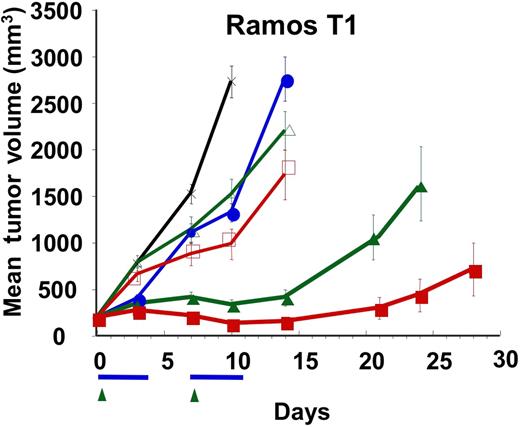 Figure 7. Activity of rhApo2L/TRAIL and rituximab against a rituximab-refractory Ramos NHL variant. A rituximab-refractory variant of Ramos RA1, designated Ramos T1, was established by treatment of Ramos RA1 in vivo with rituximab followed by harvest of tumors that escaped elimination and subsequent culture of cells. Ramos T1 cells were injected subcutaneously into CB17 ICR SCID mice and allowed to establish approximately 200-mm3 tumors. Mice (n = 12 mice/group) were then treated with vehicle (black x), 60 mg/kg rhApo2L/TRAIL (closed blue circle), 4 mg/kg rituximab (open green triangle), 10 mg/kg rituximab (open red square), rhApo2L/TRAIL and 4 mg/kg rituximab (closed green triangle), or rhApo2L/TRAIL and 10 mg/kg rituximab (closed red square). rhApo2L/TRAIL was administered daily for 5 consecutive days followed by a 2-day break and a second 5-day treatment as indicated by the blue bar. Rituximab was administered once a week as indicated by the green arrow.