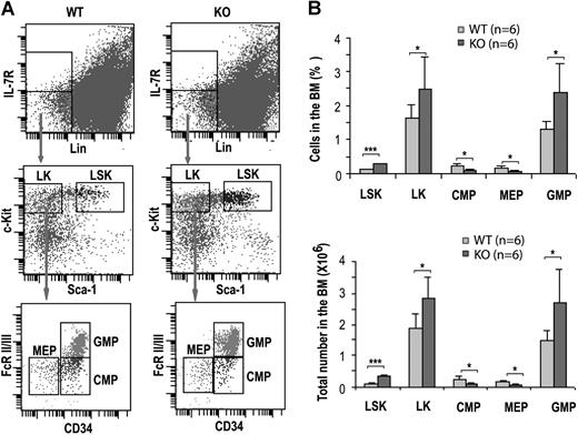 Figure 2. Cdc42 deletion affected hematopoietic progenitor populations. (A) Immunophenotypic analysis of various progenitors in WT and KO bone marrow. Representative FACS staining profiles of the progenitor populations, including LSKs, LKs, CMPs, MEPs, and GMPs, from the respective bone marrow of WT or KO mice at 14 DPI are shown. The gating is described in “Hematologic analysis and flow cytometry.” (B) The numbers and percentages of LSK, LK, CMP, MEP, and GMP populations in the bone marrow of WT and KO mice are calculated according to the phenotype determined by flow cytometry shown in panel A. Values were derived from 6 mice of each genotype. *P < .05; **P < .01; and ***P < .001.