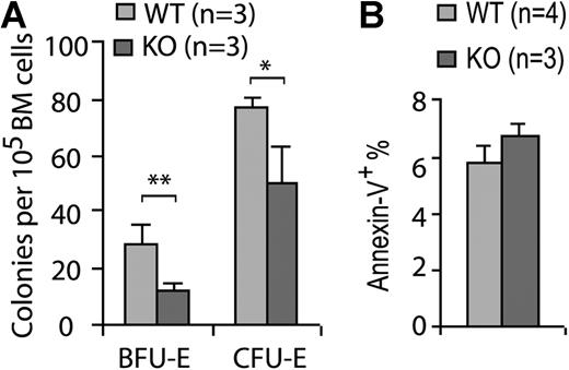 Figure 6. Cdc42 deletion decreases erythroid progenitor activity. (A) BFU-E and CFU-E activities in the WT or KO bone marrow cells were assayed as described in “Erythroid progenitor assays.” (B) The relative apoptotic erythroid cells stained positive for annexin V and Ter119 were analyzed by FACS in freshly harvested bone marrow cells. *P < .05; **P < .01; and ***P < .001.