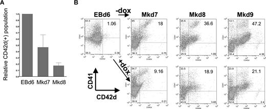 Figure 3. Megakaryocyte markers are inhibited during EB differentiation on OP9 cells after EKLF induction. (A) CD41 and CD42d expression was monitored by FACS in day 6 EBs or at 24 (Mkd7), 48 (Mkd8), or 72 hours (Mkd9) after placement on OP9 cells with thrombopoietin (TPO) with or without doxycycline. (B) All gates were drawn based on negative controls for each sample (not shown). Numbers within the FACS indicate the percentage of CD42d+ cells in each population. Data in panel A are presented as the ratio of induced to uninduced CD42d+ levels from 7 independent experiments after subtracting negative controls for each sample using the Overton cumulative histogram subtraction algorithm48 (thus the pretreated EBd6 ratio is one). Error bars are SD.