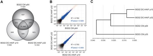 Figure 4. Comparison of the transcriptome of hESCs maintained in DC-HAIF or CM. (A) Venn diagram of the distribution of transcripts detected using high-density Illumina Sentrix Human-6 Expression Beadchips containing 47 296 transcript probes in BG02 cells maintained in CM (64 passages) or DC-HAIF (10 or 32 passages in defined medium). A large proportion of the expressed transcripts were detected in all samples. (B) Scatterplot analysis demonstrated that the transcriptional profile of BG02 DC-HAIF p32 cells was highly similar to that of BG02 cells maintained in CM (top panel), and was not substantially altered in early- and late-passage cultures in DC-HAIF (bottom panel). Correlation coefficients (R2) were generated using all detected transcripts with an expression level of more than 0 (black and blue dots), or with transcripts exhibiting a detection confidence level of more than 0.99 (R2 select, blue dots). Red lines delineate the mean and limits of a 2-fold difference. (C) Hierarchic clustering dendrogram of relative gene expression in different populations generated using the Beadstudio software (Illumina, San Diego, CA). Early- and late-passage BG02 cells maintained in DC-HAIF clustered tightly (approximately 0.0075) and retained a close similarity to BG02 and BG03 cells maintained in CM (approximately 0.037). Previous analyses showed that different undifferentiated hESC lines clustered tightly (approximately 0.032) compared with differentiated embryoid body populations (approximately 0.0875) or fibroblasts (approximately 0.160).18