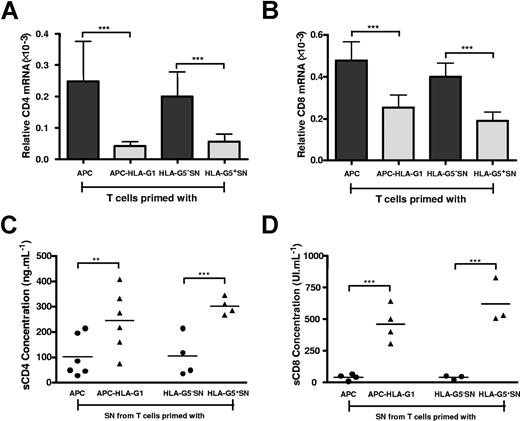 Figure 4. HLA-G affects both CD4 and CD8 gene transcription and expression. T cells were primed either with APCs or APC-HLA-G1s or with HLA-G5− or HLA-G5+ SNs for 6 days. T cells and supernatants were then collected for further analysis. (A,B) Total RNA was isolated from T-cell populations and used for real-time RT-PCR analysis using specific CD4 (A) or CD8 (B) primer and probe. Relative quantities of CD4 (A) and CD8 (B) transcripts in each T-cell population are shown in comparison with those of control healthy donor's PBMCs (assigned a value of 1). Results are expressed as mean plus or minus SEM from 4 independent experiments. (C,D) Levels of soluble CD4 (C) and CD8 (D) molecules were measured by specific ELISA in supernatants from T cells primed either with APCs or APC-HLA-G1s or with HLA-G5− or HLA-G5+ SNs. Concentrations are given as mean plus or minus SEM.