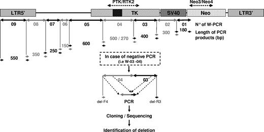 Figure 1. Transgene walking PCR assay. Starting from the NeoR gene, known to be present and expressed, 9 successive PCRs in sequence (W-01 to W-09) were designed to cover all transgene sequences to the LTR. PCR W-04 enabled detection of the spliced truncated HSV-tk gene. Different lengths enabled rapid determination of the 9 PCR products. In the case of negative PCRs (as illustrated for W-03 to W-04), secondary PCR products, obtained using transgene walking primers flanking the detected deletion area (del-F4 and del-R3 in this example), were cloned and sequenced.
