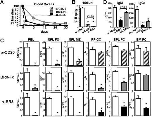 Figure 2. Kinetics and comparative mouse B-cell reduction after treatment with anti-BR3 mAb, BR3-Fc, or anti-CD20 mAb. Mice (≥ 5/group) treated with anti-BR3 mAb (200 μg/week), BR3-Fc (150 μg × 3/week), or anti-CD20 mAb (200 μg/week) were analyzed at different times, with B-cell numbers and subsets evaluated by flow cytometry. Anti-BR3 treatment reduced blood B cells (expressed as percentage of baseline absolute cell counts) faster and more profoundly than BR3-Fc but slower than anti-CD20 treatment (A). By day 15 of treatment, the extent of B-cell reduction in the lymph node in response to anti-BR3 treatment appeared greater than that resulting from anti-CD20 mAb treatment (B). B-cell subsets were quantified using similar definitions as in Figure 1. Spleen and bone marrow plasma cells were defined as CD138+B220lo/−. Analysis of different B-cell subsets after 8 weeks of continuous treatment (200 μg/week anti-BR3 and anti-CD20; 150 μg × 3/week BR3-Fc) shows significantly higher MZ B-cell, spleen, and BM plasma cell reduction in anti-BR3 mAb compared with anti-CD20 mAb treatment (C). Serum IgM and IgG1 were measured by ELISA after 3 months of continuous treatment (D). These data are representative of 3 independent experiments. Data are shown as mean plus or minus standard error. Statistical significance compared with the control treated group is indicated with an asterisk. When 2 treatment groups are significantly different from each other, the P value is displayed.