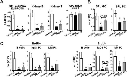 Figure 4. Anti-BR3 mAb decreases pathogenic B-cell subsets in the NZB/W F1 SLE mouse model. Therapeutic treatment of proteinuric NZB/W F1 mice (15/group) for 6 weeks with anti-BR3 mAb (600 μg/week) or BR3-Fc (300 μg × 3/week) reduced splenic anti-DNA-producing cells, kidney-infiltrating B cells (B220+), and T cells (CD3+) but not naive spleen T cells (A). Splenic germinal center B cells (B220+CD38lo) were decreased only by anti-BR3 mAb treatment, whereas plasma cells (CD138+B220lo) were decreased by both treatments (B). After 1 week, anti-BR3 mAb and BR3-Fc treatment showed significant reduction in both cycling and noncycling splenic B cells (B220+) and IgG1 plasma cells (cytoplasmic IgG1+CD138+), but only anti-BR3 mAb treatment resulted in significant reduction in IgM plasma cells (cytoplasmic IgM+CD138+) (C). Statistical significance compared with the control treated group is indicated with an asterisk. When 2 treatment groups are significantly different from each other, the P value is displayed.