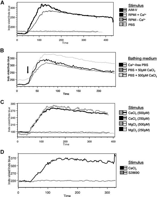 Figure 1. Effects of Cao2+ on Cai2+ release in human B cells. AIM-V, RPMI with or without calcium, or PBS (500 μL) was added to Indo-1 AM–labeled PBMCs bathed in 750 μL Ca2+-free PBS (A), or 500 μM CaCl2 was added to cells bathed in PBS containing various levels of calcium (B-D). Alternatively, MgCl2 (C) or a TLR-7 agonist, S28690 (1 μg/mL), (D) was added to other Indo-1–loaded cells in Ca2+-free PBS. indicates addition of the stimulus during the 6-minute collection period of calcium flux data. Using Indo-1 AM, bound Ca2+ is detected at approximately 400 nM (blue) and free Ca2+ is detected at approximately 475 nm (violet). The data are presented as the ratio of Indo violet/Indo blue as a function of time for the B-cell population (gated on CD19+ cells) and represent 8 independent experiments.