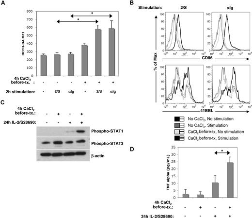 Figure 6. Functional effects of Cao2+ on B cells. (A,B) Early activation: PBMCs were cultured in PBS plus or minus CaCl2 (500 μM) for 4 hours, prior to being washed and recultured in AIM-V with or without IL-2 (1000 U/mL) plus S28690 (1 μg/mL) (2/S) or anti-Ig (10 μg/mL). After 2 hours of stimulation, cells were incubated with DCFH-DA and CD19 antibodies for 20 minutes prior to flow cytometric analysis (A). *P < .05; n = 3. After 4 hours of stimulation, cells were stained with antibodies against CD86, 41BBL, and CD19 (B). (C,D) Cytokine production: Isolated B cells were cultured in PBS plus or minus 500 μM CaCl2 prior to being washed and recultured in AIM-V with or without IL-2 plus S28690 for 24 hours. P-STAT1, P-STAT3, and β-actin (loading control) levels were then determined by immunoblotting (similar results were obtained using samples from 3 different donors) (C). TNF-α was measured by cytometric bead array (D). *P < .005; n = 4.