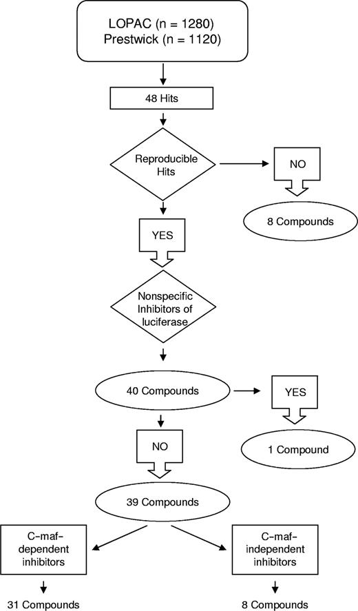 Figure 2. Workflow of the screen for inhibitors of the cyclin D2 promoter. Hits from the high-throughput screen were assessed for reproducibility and selectivity for c-maf. Of the 31 c-maf–dependent inhibitors identified, 24 were unique to one of the libraries tested, and 7 were detected in the screens of both libraries. Of the 8 c-maf–independent inhibitors, 7 were unique to one of the libraries, and 1 was identified in both screens.