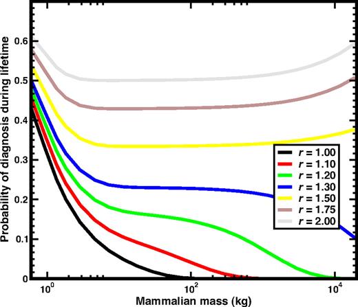 Figure 2. The risk of neoplastic HSC disorders when a mutant (cancer) stem cell is present at birth. We plot the probability of diagnosis during the lifespan as a function of the mass of the mammal (using the same color codes as in Figure 1) for the case when the mammal is already born with a single CSC due to mutation. Consequently, in these curves selection plays a more important role than mutation during the life of the animal. Only for small values of r does the probability of diagnosis decrease monotonically, and already for moderate values of r the probability remains constant for over 2 orders of magnitude of mammalian mass, further increasing for large values of M.