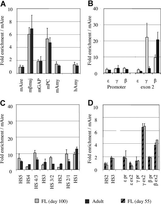 Figure 2. The levels of histone acetylation corrected by an external mouse reference gene. (A) Comparison of acetylation levels of the mouse genes between the mixtures of MEL/fetal liver and MEL/adult erythroblasts. (B) Comparison of histone acetylation levels between fetal and adult erythroblasts at the promoters and exon 2 of the ε-, γ-, and β-globin genes using the mouse Aire gene as an external control. (C) Comparison of histone acetylation levels between fetal liver (∼day 100) and adult erythroblasts in the LCR region. (D) Comparison of histone acetylation levels between day 55 and day 100 fetal livers using the mouse Aire gene as control.