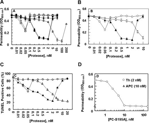 Figure 2. The permeability barrier enhancing and proapoptotic effects of thrombin are reversed by the ligand occupancy of EPCR. (A) EA.hy926 cells were incubated with increasing concentrations of thrombin (○), thrombin + anti-PAR-1 antibody (●), meizothrombin (□), PC-Gla/meizothrombin (■), thrombin + PC-S195A (50 nmol/L) (▴), and APC (▵) for 3 hours before inducing permeability with 5 nmol/L thrombin for 10 minutes. (B) The same as (A) except that after incubation of endothelial cells with increasing concentrations of thrombin (○), thrombin + PC-S195A (▴), and APC (▵), the permeability was induced with LPS (10 ng/mL) for 4 hour. (C) EA.hy926 cells were treated with increasing concentrations of thrombin (○), thrombin + PC-S195A (▴), and APC (▵) for 24 hours, followed by induction of apoptosis with staurosporine (5 μmol/L) for 4 hours. The number of apoptotic cells is expressed as the percentage of TUNEL-positive cells of the total number of nuclei. The number of TUNEL-positive cells in the absence of staurosporine was 10%-15%. (D) The same as (A) except that the concentration dependence of the protective effect of PC-S195A in the presence of 2 nmol/L thrombin (○) is measured in the permeability assay. The extent of the protective effect of 10 nmol/L APC (▵) is also presented. OD, optical density. Error bars represent SD.