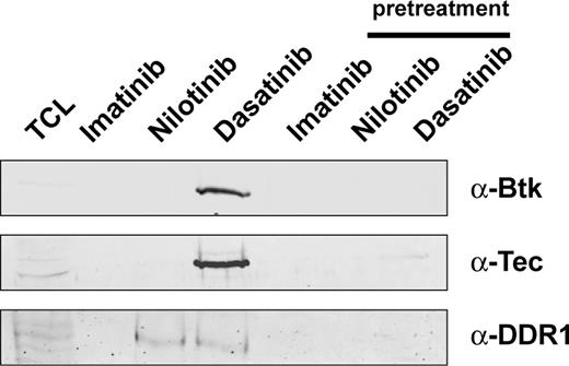 Figure 3. BTK and TEC are specific interactors of dasatinib. DDR1 interacts specifically with nilotinib and dasatinib. Anti-BTK, anti-TEC, and anti-DDR1 immunoblots of K562 pulldown series. Pretreatment was performed by addition of 10 μM parent drug to lysates 30 minutes prior to exposure to drug-affinity matrix. Pretreatment pulldowns were subsequently processed in parallel to regular pulldown experiments. TCL indicates total cell lysate.