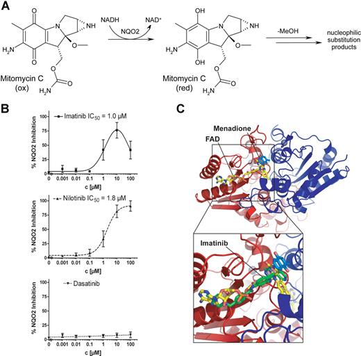 Figure 5. Imatinib and nilotinib, but not dasatinib, inhibit the oxidoreductase activity of NQO2. (A) Enzymatic quinone reduction underlying the activation of mitomycin C that was used to determine inhibition of NQO2. (B) NQO2 oxidoreductase inhibition assays for imatinib (■/—), nilotinib (▴/----), and dasatinib (▾/…) using the anticancer agent mitomycin C as a substrate and NADH as a cosubstrate. The graph shows the mean and standard deviation of 3 independent experiments. (C) Crystal structure of dimeric NQO2 in complex with menadione (blue sticks) and FAD (yellow sticks) (PDB entry 2QR2). The close-up view of the active site (bottom) shows a possible model for binding of imatinib (green sticks) to NQO2 and competition with the cosubstrate FAD. The figure was generated with Pymol (http://pymol.sourceforge.net/, DeLano Scientific).