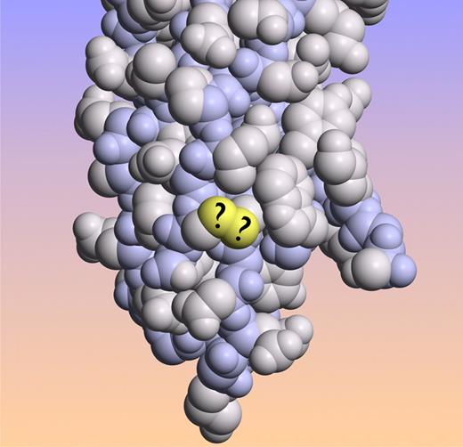 Figure 1. Tissue factor crystal structure with the sulfur atoms of the proposed labile Cys186-Cys209 disulfide bond in yellow. (Image created from coordinates file 1DAN from the Protein Data Bank.)