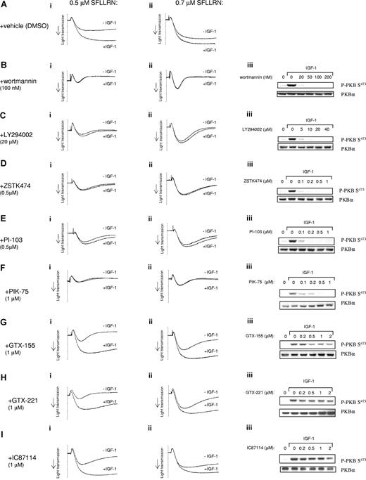 Figure 5. Inhibition of PI3K blocks IGF-1–mediated potentiation of aggregation. (i,ii) Washed platelets were incubated with vehicle (DMSO) (A), 100 nM wortmannin (B), 20 μM LY294002 (C), 0.5 μM ZSTK474 (D), 0.5 μM PI-103 (E), 1 μM PIK-75 (F), 1 μM GTX-155 (G), 1 μM GTX-221 (H), and 1 μM IC87114 (I) for 10 minutes. Platelets were subsequently incubated in the absence (−IGF-1) or presence of 100 nM IGF-1 (+IGF-1) for 5 minutes before stimulation with 0.5 μM SFLLRN (i) or 0.7 μM SFLLRN (ii) and aggregation was recorded for a total of 5 minutes. (iii) Alternatively, platelets were incubated for 10 minutes with vehicle (DMSO) or the indicated concentration of wortmannin (B), LY294002 (C), ZSTK474 (D), PI-103 (E), PIK-75 (F), GTX-155 (G), GTX-221 (H), and IC87114 (I), before stimulation with 100 nM IGF-1 for 5 minutes. Platelets were subsequently extracted and whole-cell lysate was subjected to SDS-PAGE followed by immunoblotting with the anti-P–PKBSer473 antibody (iii). Membranes were stripped and reprobed with anti-PKBα antibody to confirm equal loading. Results are representative of 3 to 6 (i,ii) and 3 (iii) experiments.