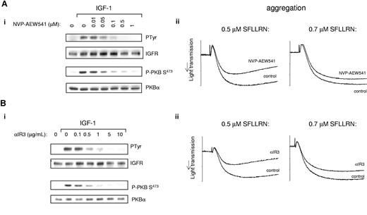 Figure 6. The IGF receptor inhibitor NVP-AEW541 and the neutralising antibody αIR3 block IGF-1–mediated PKB phosphorylation and reduce PAR-1–mediated aggregation. (i) Washed platelets were incubated for 10 minutes with vehicle (DMSO) or the indicated concentration of NVP-AEW541 (A) or platelets were incubated for 3 minutes with saturating concentration of the F(ab′) fragment IV.3 to block the IgG receptor FcγRIIa, followed by incubation for 3 minutes with the indicated concentration of the IGF receptor neutralization antibody IR3 (B). Platelets were subsequently stimulated with 100 nM IGF-1 for 5 minutes, followed by extraction. IGF receptor immunoprecipitates or whole-cell lysates were subjected to SDS-PAGE followed by immunoblotting with antiphosphotyrosine (PTyr) and anti-P–PKBSer473, respectively. Membranes were stripped and reprobed with the appropriate antibodies to confirm equal loading. (ii) Alternatively, washed platelets were incubated with vehicle (control), 0.5 μM NVP-AEW541 for 10 minutes (A), or incubated for 3 minutes with saturating concentration of the F(ab′) fragment IV.3, followed by incubation for 3 minutes with 5 μg/mL αIR3 (B). Platelets were subsequently stimulated with 0.5 μM SFLLRN or 0.7 μM SFLLRN and aggregation was recorded for a total of 5 minutes. Results are representative of 3 experiments.