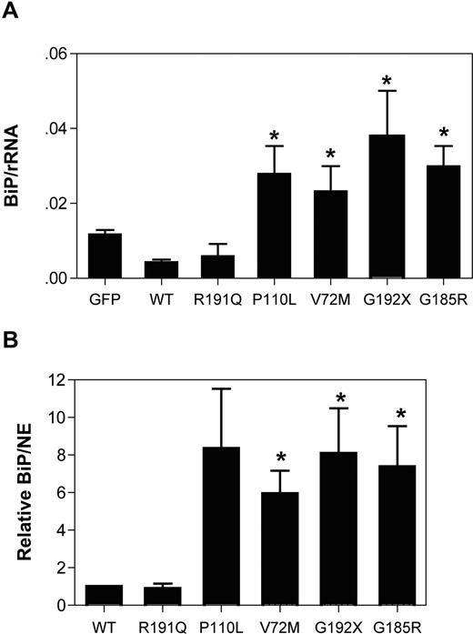 Figure 2. Expression of mutant NE induces BiP expression in U937 cells. U937 cells were transiently transfected with vector alone (GFP), wild-type (WT), or mutant NE cDNAs, and 12 hours later GFP + cells were sorted by flow cytometry. BiP, NE, and ribosomal RNA (rRNA) were quantified by real-time RT-PCR. (A) Expression of BiP mRNA relative to rRNA is shown. (B) Expression of BiP mRNA to NE mRNA is shown. Data are normalized to WT-transfected cells, where the BiP to NE ratio in each experiment was defined as 1. Data represent the mean (± SD) of 5 independent experiments. *P < .05 compared with WT-transfected cells.