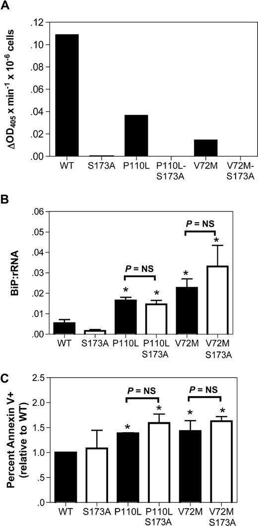 Figure 5. The protease activity of mutant NE is not required to activate UPR-induced apoptosis. (A) The indicated NE cDNA was transiently transfected into RBL cells, and 24 hours later cell extracts were prepared from bulk cultures. NE protease activity was quantified using a chromogenic, NE-sensitive substrate. Shown is NE protease activity after correcting for the number of GFP+ cells analyzed. (B,C) Cultured human granulocytic precursors were transiently transfected with the indicated NE cDNA. (B) BiP mRNA expression relative to rRNA was determined on sorted GFP+ cells 12 hours after transfection. (C) The percentage of GFP+ 7AAD− cells that were annexin V+ at 24 hours after transfection is shown. Data represent the mean (± SD) of 4-5 independent experiments. *P < .05 compared with WT-transfected cells. NS indicates nonsignificant.
