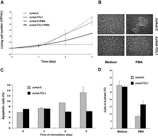 Figure 1. TCL1 inhibits PMA-induced cell death and growth arrest. (A) Viable cell number of Jurkat-C (gray line)– and Jurkat-TCL1 (black line)–treated (solid line) or untreated (dashed line) with PMA was determined at different times, as indicated in the figure, using a cell viability analyzer (Vi-cell XR; Beckman, Hialeah, FL). Data are expressed as mean (± SE) of duplicate samples. Three additional experiments gave similar results. (B) Photomicroscopy of Jurkat-C or Jurkat-TCL1, treated or untreated with PMA for 3 days. Two additional experiments gave similar results. (C) Apoptotic cell fraction of Jurkat-C (gray box) or Jurkat-TCL1 (black box) induced with PMA was determined by flow cytometry as the annexin V–FITC–positive/PI-negative percentage at different times, as indicated in the figure. Data are expressed as mean (± SE) of duplicates samples. Two additional experiments gave similar results. (D) Cell-cycle distribution (S phase) using flow cytometry after PI staining was determined at 24 hours for Jurkat-C (gray box) or Jurkat-TCL1 (black box) induced or not induced with PMA. Three additional experiments gave similar results.