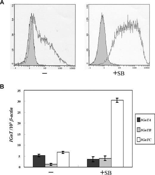 Figure 1. Expression of I antigen and IGnT genes in erythroid differentiation of K-562 cells. (A) Flow cytometry analysis for I antigen expression. K-562 cells were cultured in medium supplemented with 1 mM of sodium butyrate for 2 days to induce erythroid differentiation. Expressions of the cell-surface I antigens on the K-562 cells with or without sodium butyrate treatment (indicated as +SB and −, respectively) were analyzed using flow cytometry and detected with monoclonal anti-I antibody (mAb OSK14; 1:5 dilution), with the bound mAb on the cell surfaces revealed by FITC-conjugated goat anti-human IgM (1:200 dilution). The open and shaded areas represent results obtained from cells incubated with anti-I mAb and FITC-conjugated secondary antibody, and with FITC-conjugated secondary antibody only, respectively. (B) Expression profiles for the IGnT transcripts. Real-time PCR was used to quantify the IGnTA, IGnTB, IGnTC, and β-actin transcripts in the cDNA samples. The quantities of the IGnT transcripts were normalized to that of β-actin transcript in each sample. Data were obtained from 3 detections; standard deviations are shown.