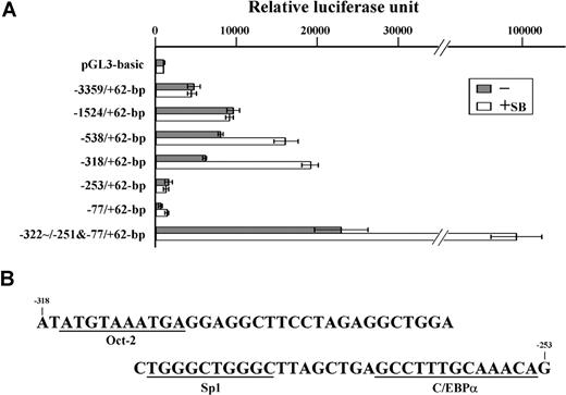 Figure 2. Identification of the cis-acting DNA region regulating IGnTC gene transcription. (A) Comparison of transcriptional activities of the IGnTC gene 5′ regions. Different 5′ segments of the IGnTC gene were introduced upstream of the luciferase reporter gene of the pGL3-basic vector. The −322/−251&−77/+62-bp reporter vector had the −322 to −251–bp region inserted immediately upstream of the −77 to +62–bp region. K-562 cells were split into 6-well culture plates at a density of 2 × 105 cells/mL, and transfected with 1.0 μg of the constructed and mock pGL3-basic reporter plasmids. The transcriptional activities of the constructed reporter plasmids in the transfected K-562 cells, with or without sodium butyrate treatment, are schematically represented by □ and ▩, respectively. The results are presented as averages of luciferase activities from 3 repetitions; standard deviations are shown. (B) Nucleotide sequence of the −318 through −253 region of the IGnTC gene. The putative binding motifs for the Oct-2, Sp1, and C/EBPα transcription factors are underlined.