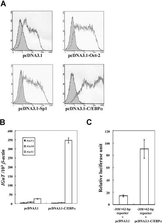 Figure 3. Overexpression of Oct-2, Spl, and C/EBPα in K-562 cells. (A) Expressions of I antigen in the K-562 cells with overexpression of Oct-2, Sp1, and C/EBPα. The pcDNA3.1 expression vector harboring the respective full coding cDNAs of Oct-2, Sp1, or C/EBPα was transfected into the K-562 cells. K-562 cells were split into 6-well culture plates at a density of 2 × 105 cells/mL, and transfected with 1.0 μg of the constructed and mock pcDNA3.1 expression vector. The antibiotic-selected cells were then analyzed for the expression of I antigen using flow cytometry. Open and shaded areas are representative of the cells detected with anti-I mAb (1:5 dilution) and FITC-conjugated secondary antibody, and with FITC-conjugated secondary antibody only, respectively. (B) Expression profiles for IGnT transcripts in the K-562 cells with C/EBPα overexpression. The expressions of the IGnTA, IGnTB, and IGnTC transcripts in the K-562 cells transfected with the C/EBPα expression vector or mock pcDNA3.1 plasmid were analyzed using real-time PCR. Quantities of the IGnT transcripts were normalized to that of β-actin transcript in each sample. Data were obtained from 3 detections; standard deviations are shown. (C) Transcriptional activity of C/EBPα on IGnTC gene 5′ promoter. K-562 cells were cotransfected with the −318/+62-bp reporter construct and the C/EBPα expression vector or with the same reporter vector and mock pcDNA3.1 plasmid. After transfection for 48 hours, the cells were harvested to analyze the activity of the expressed luciferase. Results are presented as averages of luciferase activities from 3 repetitions; standard deviations are shown.