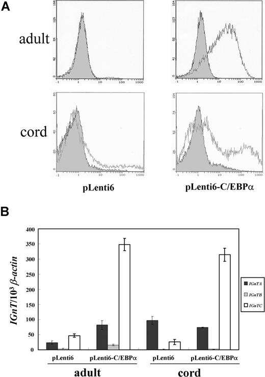 Figure 7. Lentiviral expression of C/EBPα in adult and cord CD34+ cells. (A) Flow cytometry analysis for I antigen expression. Expression of the I antigen on the cells transduced with the virions prepared from the pLenti6-C/EBPα gene transfer vector, which harbored full C/EBPα coding cDNA, and those transduced with the virions prepared from the mock pLenti6 vector were analyzed using flow cytometry and detected with anti-I mAb (1:10 dilution). Open and shaded areas indicate cells detected with anti-I mAb and FITC-conjugated secondary antibody, and with FITC-conjugated secondary antibody only, respectively. (B) Expression profiles of IGnT transcripts. Real-time PCR was used to quantify the IGnT and β-actin transcripts. Quantities of the IGnTA, IGnTB, and IGnTC transcripts were normalized to that of β-actin transcript in each sample. Data were obtained from 3 detections; standard deviations are shown.