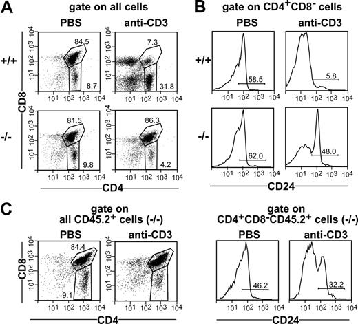 Figure 1. Impaired negative selection of CCR7-deficient thymocytes in vivo. Nine-week-old C57BL/6 (+/+) and CCR7−/− (−/−) mice were intravenously injected with PBS or 200 μg of anti-CD3 mAb. Forty-two hours after injection, thymocytes were quantified, stained with antibodies to CD3, CD4, CD24, and CD8, and analyzed by flow cytometry. CD24 expression was analyzed to identify the semimature CD4+CD8−CD24high population undergoing negative selection after TCR ligation. (A) Proportions of CD4 SP and DP cells in the thymus of mice injected with PBS and mice injected with anti-CD3 mAb, demonstrating the depletion of the DP population in wild-type but not in mutant animals. (B) Proportions of CD4+CD8−CD24high cells in the thymi of mice injected with anti-CD3 mAb. Note that in contrast to wild-type mice, only a minority of CD4+CD8−CD24high cells have been depleted in CCR7-deficient animals after antibody administration. (C) Bone marrow of CD45.2 CCR7−/− mice was mixed with bone marrow of CD45.1 wild-type mice at ratio of 1:1 and transferred into irradiated CD45.1 wild-type recipients. Lack of depletion of CCR7-deficient DP and CD4+CD8−CD24high cells in a wild-type thymus environment indicates that an intrinsic defect in these thymocytes is responsible for the resistance of these cells to undergo depletion after TCR stimulation.