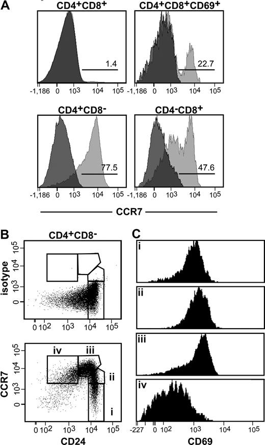 Figure 3. CCR7 expression on different thymocyte subpopulations. Thymocytes of adult C57BL/6 mice were stained with anti-CD4, anti-CD8, anti-CD24, and anti-CD69 antibodies. CCR7 was detected using a monoclonal antibody. (A) CCR7 expression on DP and SP thymocytes. Populations were gated based on the expression of CD4, CD8, and CD69 as indicated. Bright gray indicates CCR7; dark gray, isotype control. Numbers indicate the percentage of cells expressing CCR7 above the background level. (B) CCR7 expression on CD4 SP cells at different maturational stages. The analysis of CCR7 and CD24 coexpression on CD4+CD8− cells allows the identification of 4 different subpopulations (i-iv). (C) Expression of CD69 on subpopulations i to iv depicted in panel B.