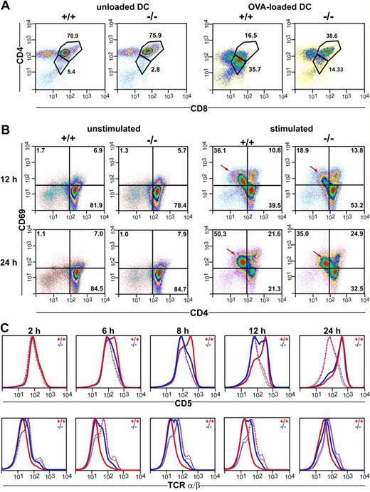 Figure 6. Impaired responsiveness of CCR7-deficient thymocytes to TCR stimulation in vitro. (A) Thymocytes of DO11.10/CCR7+/+ (+/+) and DO11.10/CCR7−/− (−/−) mice were coincubated with either unloaded or OVA-loaded DCs. Cells were harvested after 18 hours of incubation and analyzed by flow cytometry. CCR7-deficient thymocytes were less responsive to TCR stimulation as indicated by the lower number of DP cells with decreased expression of CD4 and CD8 after stimulation. (B) Thymocytes of wild-type (+/+) and CCR7-deficient (−/−) mice were incubated for either 12 or 24 hours in the absence (unstimulated) or in the presence (stimulated) of antibodies to CD3 and CD28. Similar expression levels of CD69 were observed in unstimulated thymocytes of both strains. Although TCR stimulation induces up-regulation of CD69 on thymocytes of both strains, mutant thymocytes respond more slowly and less efficiently (→). For panels A and B, pseudocolor density plots are gated on living thymocytes according to forward and side scatter (FSC/SSC) profile, numbers indicate the percentage of cells in the specified regions. (C) Impaired responsiveness of CCR7-deficient thymocytes to CD3/CD28 sti-mulation is also reflected by delayed kinetic of CD5 up-regulation and TCR down-regulation. … indicates unstimulated; ——, stimulated. Data shown are representative of 3 independent experiments.