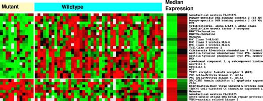 Figure 1. Differential mRNA gene expression between tumors with DNA-binding codon TP53 mutations and tumors with wild-type TP53. Median expression of each gene listed in the right column is provided for each of the 2 subgroups of tumors (mutant and wild-type). Red is increased and green is decreased.