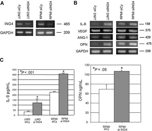 Figure 2. Effect of ING4 suppression in HMCLs on the production of the proangiogenic molecules. JJN3 and RPMI-8226 were transfected by electroporation with 1 nmol smart pool double-stranded RNA oligonucleotides (siRNA) against ING4 or with a nonspecific control siRNA (Cy). After 24 hours, cells were harvested for ING4 evaluation by RT-PCR (A). The expression of the proangiogenic molecules IL-8, VEGF, ANG-1, and OPN was evaluated by RT-PCR in both JJN3- and RPMI-8226–transfected cells (B). After 48 hours, IL-8 (JJN3 and RPMI-8226) and OPN (RPMI-8226) levels were measured in the conditioned media of transfected cells by ELISA. Graphs represent the mean plus or minus SD of IL-8 and OPN levels normalized for the number of cells (C).