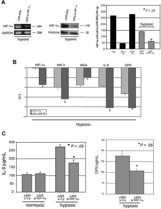 Figure 4. Effect of HIF-1α suppression on ING4 and the angiogenic-related molecules in hypoxic condition. JJN3 was transfected by electroporation with 1 nmol smart pool double-stranded RNA oligonucleotides (siRNA) against HIF-1α or with a nonspecific control siRNA (Cy). After 24 hours, cells were incubated in the presence or absence of hypoxic condition (1% O2, 5% CO2 atmosphere or CoCl2 treatment) for 12 hours. HIF-1α mRNA expression was evaluated by RT-PCR, whereas HIF-1α protein level and activity were detected by Western blot and ELISA, respectively, as described in “Western blot analysis” and “ELISAs.” Graphs represent the mean plus or minus SD of 2 independent experiments measured in triplicate (OD = optical density). Nuclear extracts of COS-7 treated with CoCl2 in the presence or absence of wild-type (wt) or mutated (mt) competitor oligonucleotides were tested as control (Con) (A). Aliquots of conditioned media of JJN3 transfected cells were tested by ELISA to detect IL-8 and OPN levels. Graphs represent the mean plus or minus SD of IL-8 or OPN levels in 2 independent experiments measured in triplicate (B). JJN3 was transfected by electroporation with 1 nmol smart pool double-stranded RNA oligonucleotides (siRNA) against HIF-1α or ING4 or HIF-1α plus ING4 or with a nonspecific control siRNA (Cy) and incubated after 24 hours in the presence or absence of hypoxic condition. Thereafter ING4, IL-8, OPN, HIF-1α, and NIP-3 mRNA expression was quantified by real-time PCR. Data are expressed as mean −ΔCt plus or minus SD as described in “Real-time quantitative PCR” (C).