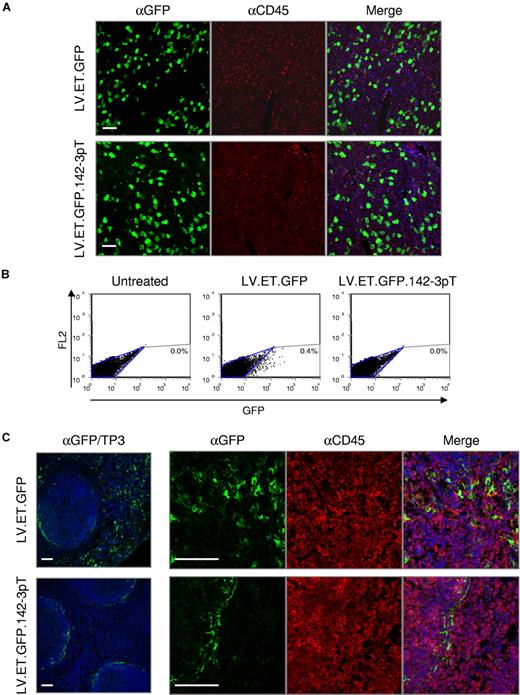 Figure 2. Endogenous miRNA regulation can be exploited to improve vector targeting. Balb/c mice (n = 5/group) were treated by intravenous administration with 5 × 108 TU of the indicated vector and analyzed at 10 days after injection. (A) Confocal immunofluorescence analysis of the liver. Fixed frozen sections were costained with anti-GFP (green) and anti-CD45 (red) antibodies to monitor the vector expression profile. TO-PRO-3 (blue) was used to stain nuclei. Scale bars = 60μm. (B) FACS analysis of total splenocytes from treated animals were analyzed for GFP expression. (C) Confocal immunofluorescence analysis of the spleen. Fixed frozen sections were costained with anti-GFP (green) and anti-CD45 (red) antibodies to monitor the vector expression profile. TO-PRO-3 (blue) was used to stain nuclei. Scale bars are equal to 60 μm.