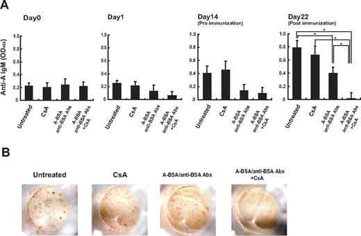 Figure 4. Persistent reduction in anti-A Ab levels in the sera of mice that received A-BSA/anti-BSA Abs and CsA. Balb/c mice received an intraperitoneal injection of A-BSA (100 μg/mouse). After 6 hours, rabbit anti-BSA Abs were injected into the mice. Furthermore, the mice received daily injection of CsA at dose of 10 mg/kg/day. Untreated mice and mice that received injections of either A-BSA or CsA alone were used as controls. At 14 days after injection of A-BSA/anti-BSA Ab, the mice were intraperitoneally immunized with 5 × 108 A-RBCs. (A) The levels of anti-A IgM in the sera of these mice were determined by ELISA assay before and after treatment (0, 1, 14, and 22 days after A-BSA/anti-BSA Ab injection). Average values (± SEM) for the individual groups are shown. The number of animals in each group was as follows: untreated control, n = 6; mice receiving CsA alone, n = 5; mice that received A-BSA/anti-BSA Abs alone, n = 5; and mice that received a single injection of A-BSA/anti-BSA Abs and daily administration of CsA, n = 5. *P < .05. (B) Anti-A Ab-producing cells in the Spl of each mouse were detected by the ELISPOT assay (22 days after the A-BSA/anti-BSA Ab injection).