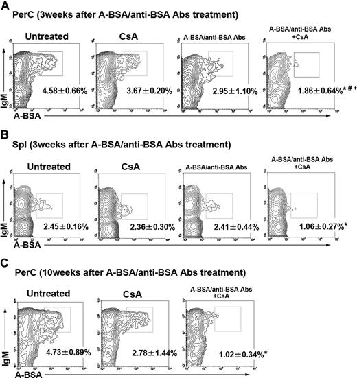 Figure 6. Absence of B cells with receptors for group A carbohydrates in mice that received A-BSA/anti-BSA Abs and CsA treatment. Mice that were either untreated or treated with CsA alone, a single injection of A-BSA/anti-BSA Abs, or A-BSA/anti-BSA Abs along with CsA were intraperitoneally immunized with a single injection (2 weeks after the injection of A-BSA/anti-BSA Abs) or 2 injections of 5 × 108 A-RBCs (8 and 9 weeks after the injection of A-BSA/anti-BSA Abs). Spl and PerC cells were prepared from these mice 8 days after the last immunization (3 or 10 weeks after the injection of A-BSA/anti-BSA Abs). The cells were stained with FLUOS-conjugated A-BSA or control FLUOS-conjugated BSA along with biotinylated anti-mouse IgM mAb. The biotinylated mAb were visualized using allophycocyanin-streptavidin. Representative contour plots obtained by FCM analysis show an absence of A-BSA-binding B cells in the PerC (A,C) and Spl (B) of mice that received combined A-BSA/anti-BSA Abs and CsA treatment. To ensure statistical significance, data on 105 PerC cells and 2 × 105 Spl cells were collected for each sample. The frequency of A-BSA–binding B cells was calculated by subtracting the percentage of sIgM+ cells stained with control FLUOS-conjugated BSA from the percentage of sIgM+ cells stained with FLUOS-conjugated A-BSA. Percentages of total sIgM+ B cells are shown. Average values (± SEM) for the individual groups are shown (*P < .01 when compared with the data from the untreated control mice; #P < .01 when compared with the data from mice treated with CsA alone; and +P < .01 when compared with the data from mice treated with mice treated with A-BSA/anti-BSA Abs alone). (A,B) The number of animals in each group was as follows: untreated control, n = 6; mice that received CsA alone, n = 5; mice received only A-BSA/anti-BSA Abs alone, n = 5; and mice that received a single injection of A-BSA/anti-BSA Abs and daily administration of CsA, n = 5. (C) The number of animals in each group was as follows: untreated control, n = 5; mice receiving CsA alone, n = 4; and mice receiving a single injection of A-BSA/anti-BSA Abs and daily administration of CsA, n = 5.