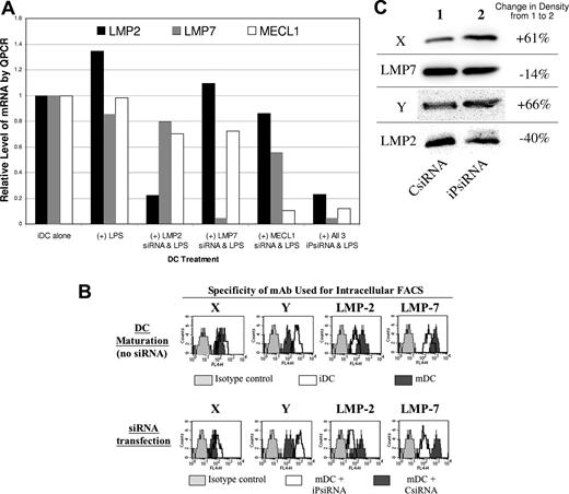 Figure 1. iPsiRNA-mediated down-modulation of inducible iP subunits in DCs. (A) iDCs were electroporated with the indicated siRNAs (500 nM of each individual iP subunit–specific siRNA, with control siRNA added as needed to a final total concentration of 1500 nM). At 4 hours later, LPS was added to the siRNA-transfected DCs. After 24 hours of maturation induction, DC RNA was extracted and quantitative PCR was performed to determine relative levels of mRNA encoding iP subunits LMP2, LMP7, and MECL-1. The data presented are representative of 3 separate experiments, each with similar results. (B) Using DCs derived from CD14+ monocytes, intracellular expression of cP subunits X and Y and iP subunits LMP2 and LMP7 was assessed using specific mAbs, as well as isotype-matched control mAbs, and an APC-conjugated secondary antibody, detected as FL4. In the top panel, iDCs and mDCs (induced to mature using a CC for 24 hours in culture) were analyzed, while in the bottom panel, the DCs analyzed were transfected with either CsiRNA or iPsiRNA and induced to mature for 24 hours using the CC. The data presented are representative of 2 experiments, each with similar results. (C) Specific subunit composition of 20S proteasomes from mDCs transfected with either CsiRNA or iPsiRNA was assessed by Western blotting of cell lysates. Densitometry measurements were compared as indicted. This experiment was performed 3 times, with similar results.