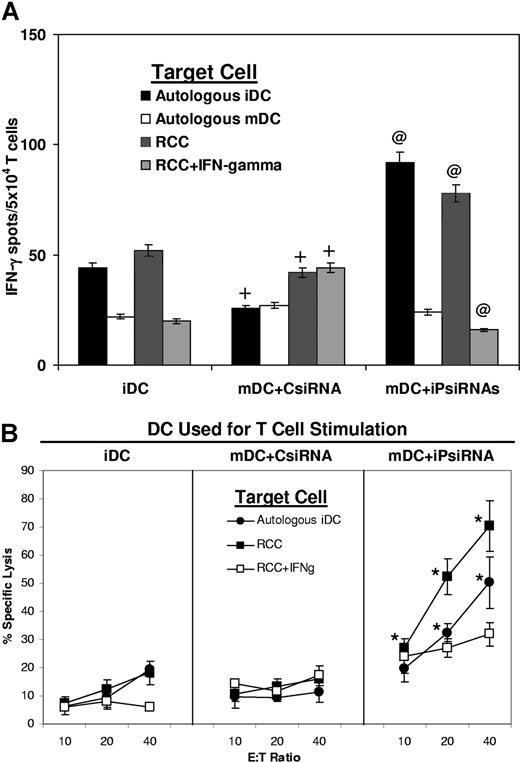 Figure 3. iPsiRNA-transfected DCs simulate the induction of CTLs specific for a defined antigen. CTLs were induced by stimulation of autologous T cells with B51+ DCs loaded with the 19-aa precursor RU-1 polypeptide after no treatment (iDC), after transfection with control siRNA and the induction of DC maturation using CC (mDC + CsiRNA), or after transfection with siRNA targeting the 3 inducible iP subunits followed by induction of maturation (mDC + iPsiRNA). After 1 restimulation, T-cell IFN-γ release in response to the indicated target cells was assessed by ELISPOT (A), and cytolytic activity was assessed using the Europium release assay and either autologous iDCs (autologous iDC), the B51+ renal cell carcinoma cell line (RCC), or RCC preincubated for 1 week with IFN-γ to induce iP expression (RCC + IFN-γ) as targets (B). Values are plotted as means (± SD); *P < .05; @P < .01 for the comparison between T-cell activity induced by mDCs + iPsiRNA versus mDCs + CsiRNA; and +P < .01 for the comparison between T cells induced by mDCs + CsiRNA versus iDCs.