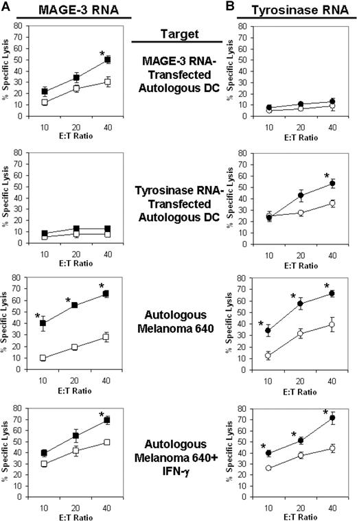 Figure 5. Lytic activity of CTLs generated from patient 640. Autologous iDCs were generated from cryopreserved PBMCs and then transfected with either CsiRNA (□/○) or iPsiRNA (■/●). After the induction of maturation, these DCs were transfected with either MAGE-3 RNA (A) or tyrosinase RNA (B) and then used to stimulated autologous T cells in culture. After 1 restimulation, lytic activity was determined in duplicate against autologous DCs transfected with either MAGE-3 RNA or tyrosinase RNA, or the autologous melanoma cell line 640 alone or treated with IFN-γ for 3 days. Results are plotted as mean values (± SD); *P < .05 for the comparison between lytic activity of T cells induced by CsiRNA-transfected stimulator DCs versus iPsiRNA-transfected stimulator DCs measured against the same target.
