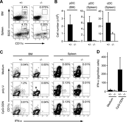 Figure 1. Dramatic reduction of pDCs in the absence of CXCR4. E16.5 fetal liver cells (Ly5.2+/Ly5.1−) from CXCR4+/− and CXCR4−/ − mice were transferred into lethally irradiated Ly5.2−/Ly5.1+ recipients. CXCR4+/− and CXCR4−/ − chimeric mice were analyzed 16 to 45 weeks after transfer. (A-C) Flow cytometric analysis of bone marrow and spleen. Fluorescence staining profile of Ly5.2+CD19−NK1.1− cells (A), and the numbers of donor-derived Ly5.2+CD11cintB220+PDCA-1+ pDCs (n = 4-5) and Ly5.2+CD11chiB220− cDCs (B). (C) Intracellular IFN-α was measured by flow cytometry gating on donor-derived Ly5.2+/Ly5.1−CD19− cells with or without activation with poly U or CpG-ODN. (D) IFN-α production analysis by ELISA on supernatants from donor-derived Ly5.2+/Ly5.1− sorted cells in bone marrow with or without activation with CpG-ODN (n = 3). Error bars represent SD of the mean.