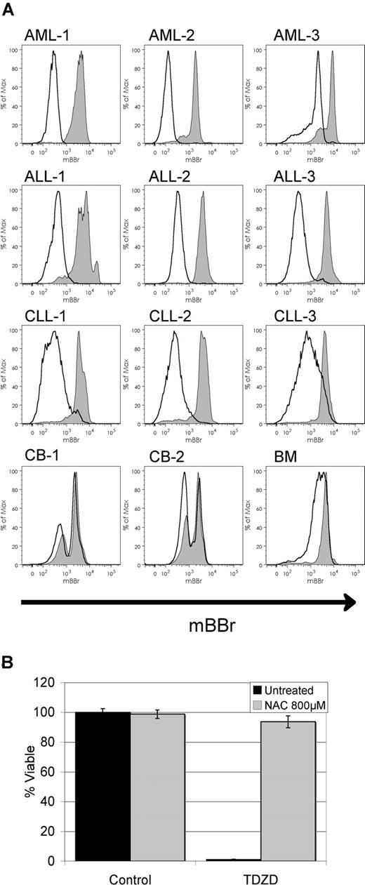 Figure 3. TDZD-8 treatment induces oxidative stress. (A) Flow cytometric overlays for mBBr fluorescence from primary AML, CLL, ALL, or normal mononuclear cells treated for 30 minutes with 20 μM TDZD-8 (black line) versus untreated controls (black line/gray filling). (B) Percentage of viability of primary AML cells pretreated with NAC (gray bars) for 1 hour before treatment with 20 μM TDZD-8. Viability was determined 24 hours after the addition of each drug. Error bars represent the SEM.