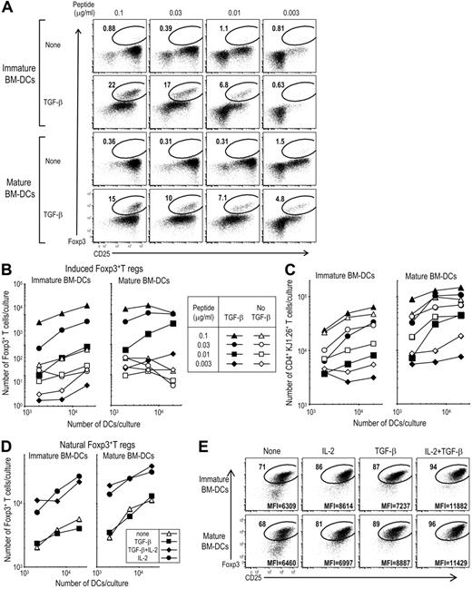 Figure 1. BM-DCs plus TGF-β induce differentiation of Foxp3+T regs from DO11.10 RAG−/− Foxp3−CD25+CD4+ T cells. (A) Day-6 BM-DCs were stimulated with or without 50 ng/mL LPS for 16 hours. After washing, 6 × 103 immature (without LPS) or mature DCs (with LPS) were cultured with Foxp3−CD25−CD4+ T cells (2 × 104) from DO11.10 RAG−/− mice for 5 days with peptide in the presence or absence of TGF-β (2 ng/mL). Cells were stained with mAbs to CD4, KJ1.26 clonotype, and CD25-Abs. After fixation, cells were stained with anti-Foxp3 mAb. Plots were gated on CD4+ KJ1.26+ cells. (B) As in panel A, but the indicated numbers of DCs were cultured with Foxp3−CD25−CD4+ T cells (2 × 104) from DO11 RAG−/− mice for 5 days with the indicated doses of peptide in the presence or absence of TGF-β (2 ng/mL). The absolute numbers of Foxp3+CD4+KJ1.26 clonotype+ T cells per culture at 5 days are shown. (C) As in panel A, but absolute numbers of CD4+KJ1.26 clonotype+ T cells per culture at 5 days are shown. (D) As in panel A, but freshly isolated CD25+CD4+T cells from DO11.10 RAG+/+ mice (2 × 104, > 90% Foxp3+) were cultured with immature or mature BM-DCs plus 0.1 μg/mL peptide in the presence or absence of TGF-β (2 ng/mL) or IL-2 (100 U/mL). (E) As in panel D, but freshly isolated CD25+CD4+T cells from DO11.10 RAG+/+ mice were cultured with immature or mature BM-DCs (2 × 104). Geometric mean fluorescence intensity (MFI) for Foxp3 within the circle is shown in the bottom of the plots. Data are representative from 2 to 3 independent experiments.
