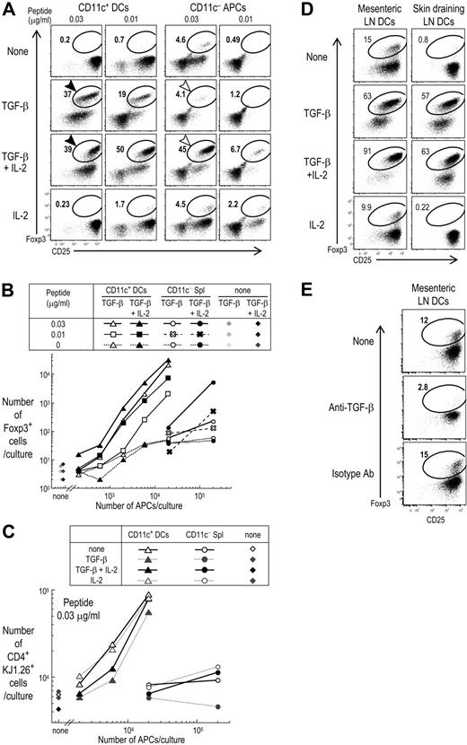 Figure 2. Foxp3+CD25+CD4+ T cells are induced from Foxp3−CD25−CD4+ T cells more effectively by spleen CD11c+ DCs than CD11c− APCs, and DCs from mesenteric lymph nodes differentiate Foxp3+T reg in the absence of exogenous TGF-β. (A) Foxp3−CD25−CD4+ T cells (2 × 104) from DO11.10 RAG−/− mice were cultured for 5 days with CD11c+ DCs (2 × 104) or CD11c− cells (2 × 105) from spleen and indicated doses of OVA peptide in the presence or absence of TGF-β (2 ng/mL) and/or IL-2 (100 U/mL). Cells were stained with mAbs to CD4, clonotype (KJ1.26), CD25, and Foxp3. Plots were gated on CD4+ KJ1.26+ cells. (B) As in panel A, but absolute numbers of Foxp3+CD4+KJ1.26 clonotype+ T cells per culture at 5 days were shown. (C) As in panel A, but the absolute numbers of CD4+KJ1.26 clonotype+ T cells per culture at 5 days were shown. (D) As in panel A, but Foxp3−CD25−CD4+ T cells from DO11.10 RAG−/− mice were cultured for 5 days at 0.03 μg/mL peptide with CD11c+ DCs (2 × 104) from mesenteric or skin draining lymph nodes in the presence or absence of TGF-β (2 ng/mL) and/or IL-2 (100 U/mL). (E) As in panel D, but anti–TGF-β mAb (10 μg/mL) or isotype control was added into the culture. Data are representative of 2 to 4 independent experiments.